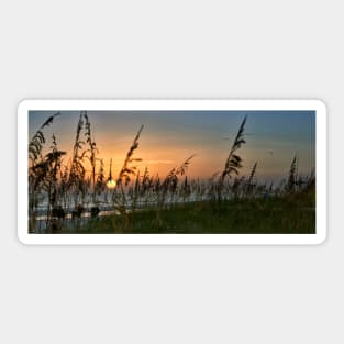 Sunset On Anna Maria Island Sticker